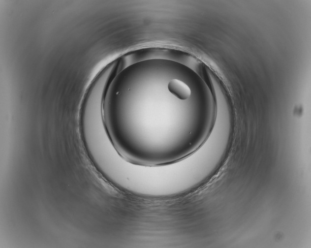 X0000090861230200708101212