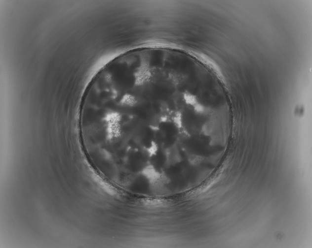 X0000090861231200708101212