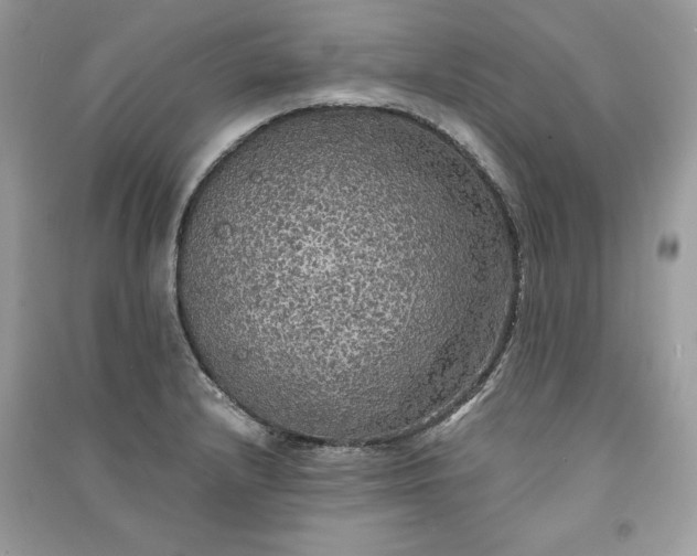 X0000090861232200708101213