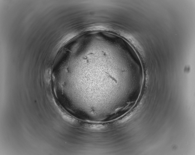 X0000090861233200708101213