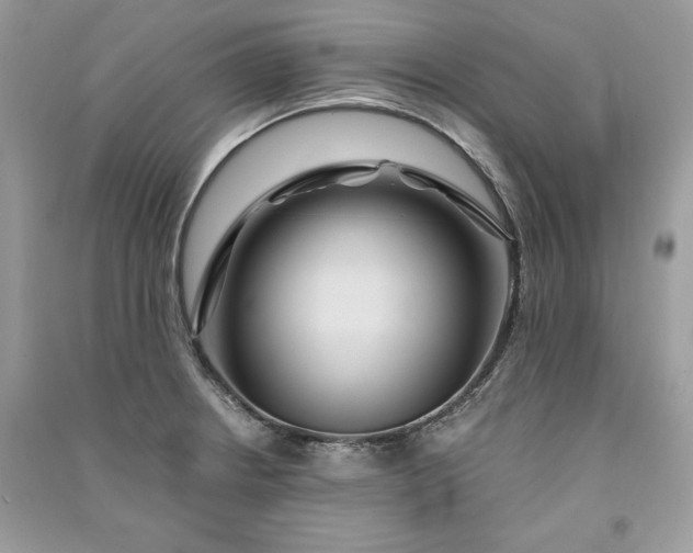 X0000090861234200708101213