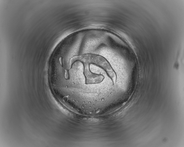 X0000090861235200708101213