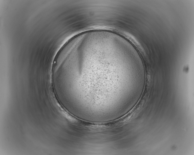 X0000090861236200708101213