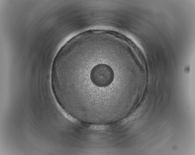 X0000090861237200708101213