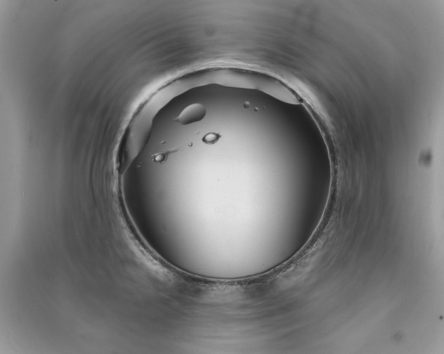 X0000090861238200708101213