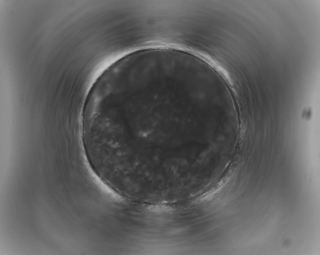 X0000090861239200708101213