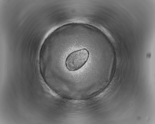 X0000090861240200708101213