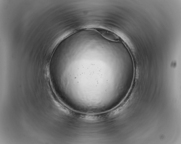 X0000090861241200708101213