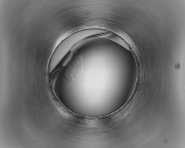 X0000090861242200708101213