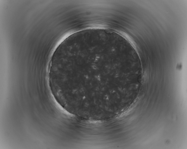 X0000090861243200708101213