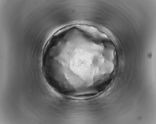 X0000090861244200708101213