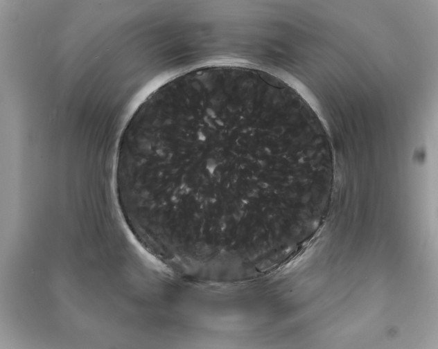 X0000090861245200708101213