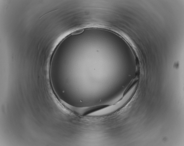 X0000090861246200708101213