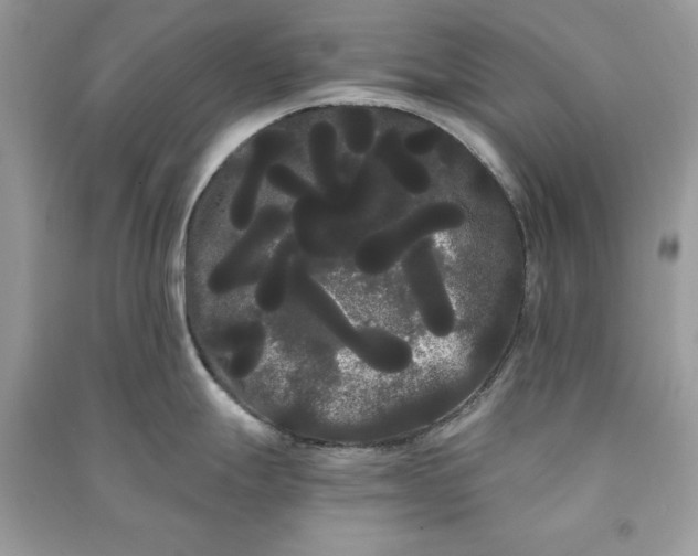 X0000090861247200708101213