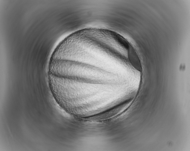 X0000090861248200708101213