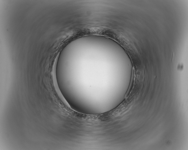 X0000090861249200708101212