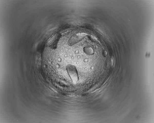 X0000090861251200708101212