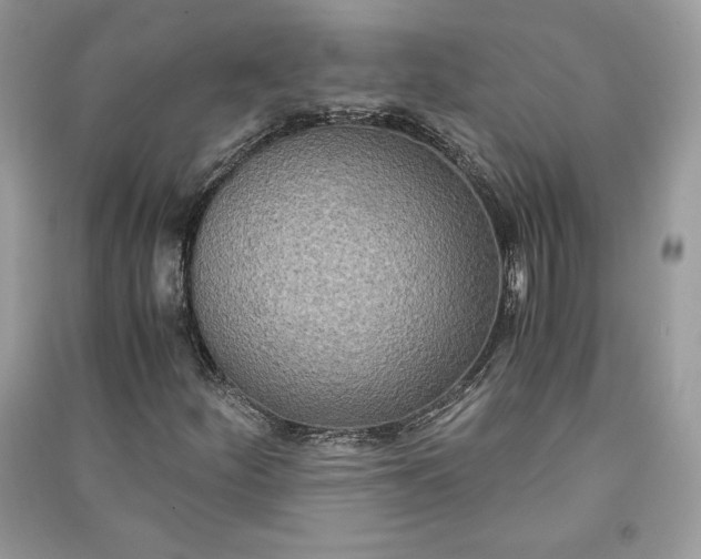 X0000090861252200708101212