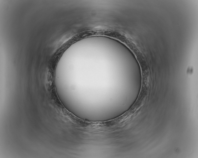 X0000090861253200708101212