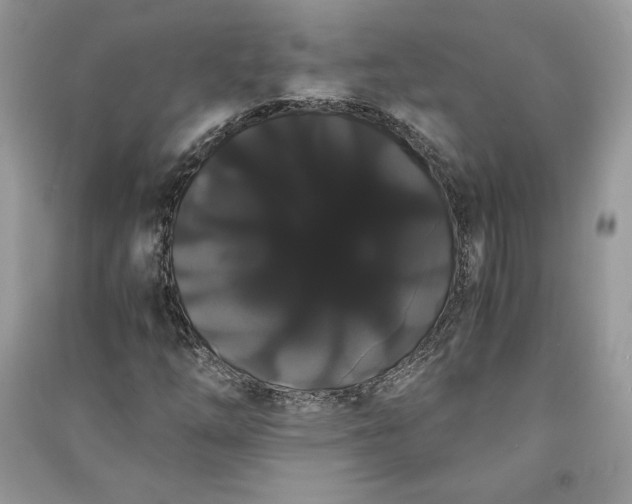 X0000090861254200708101212