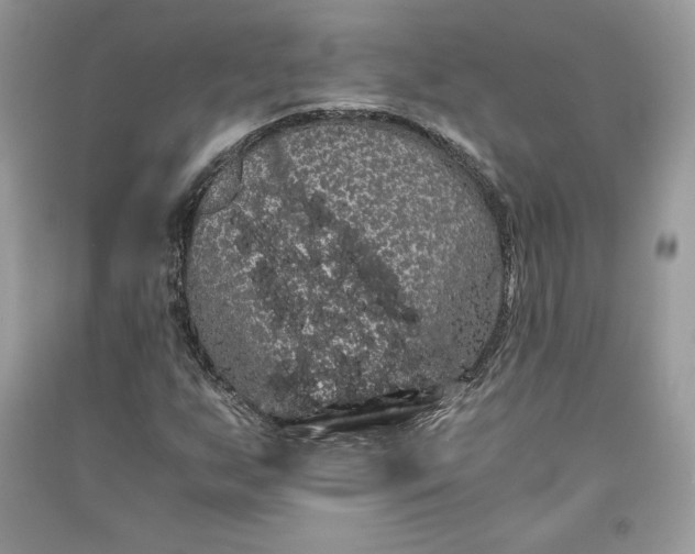 X0000090861255200708101212