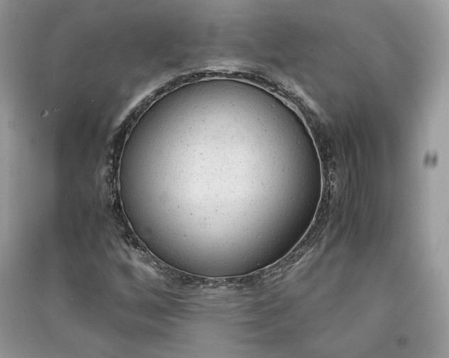 X0000090861256200708101212