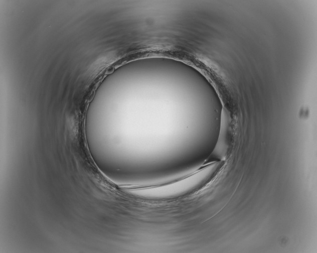 X0000090861257200708101212