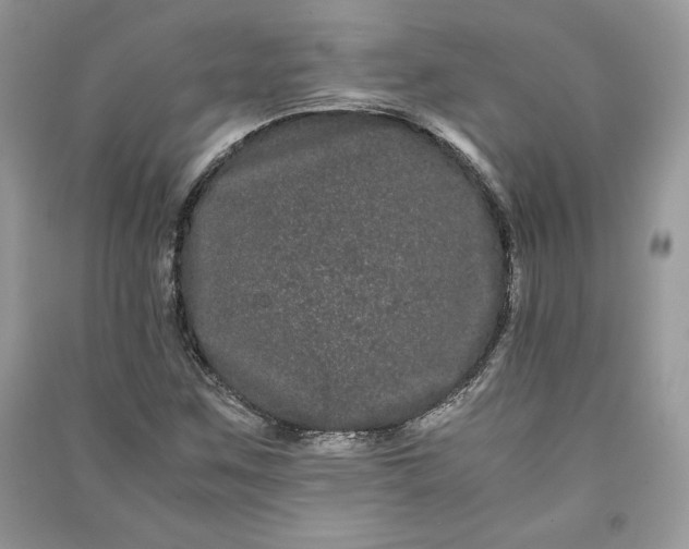 X0000090861259200708101212