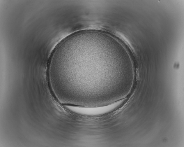 X0000090861260200708101212