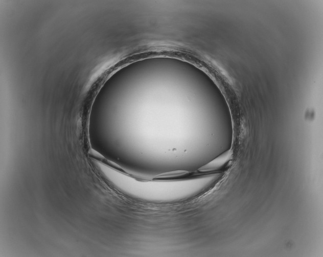 X0000090861261200708101212