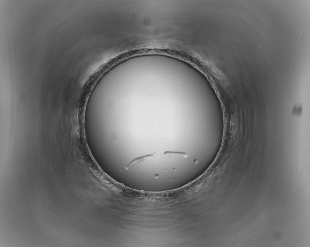 X0000090861262200708101212