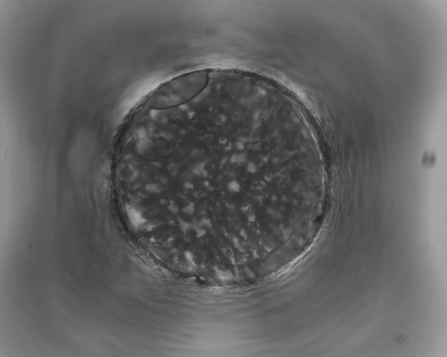 X0000090861263200708101212