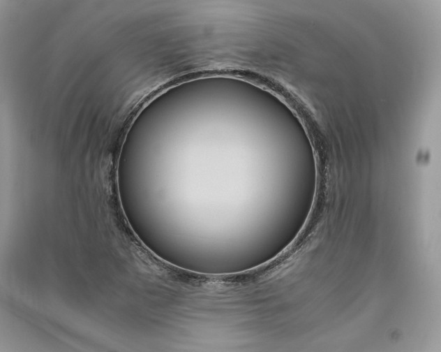 X0000090861265200708101212