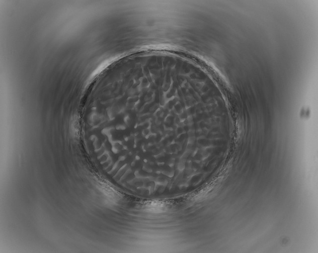 X0000090861266200708101212