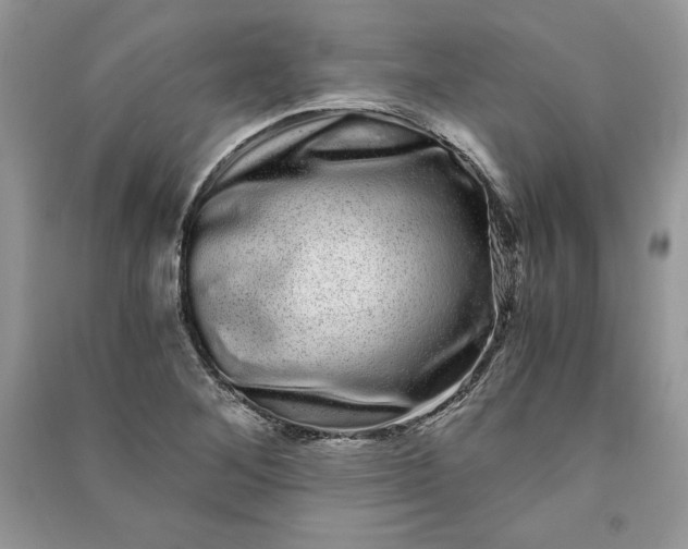 X0000090861268200708101212