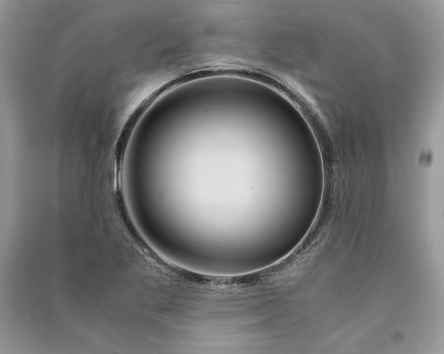 X0000090861269200708101212