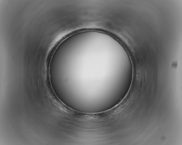 X0000090861270200708101212