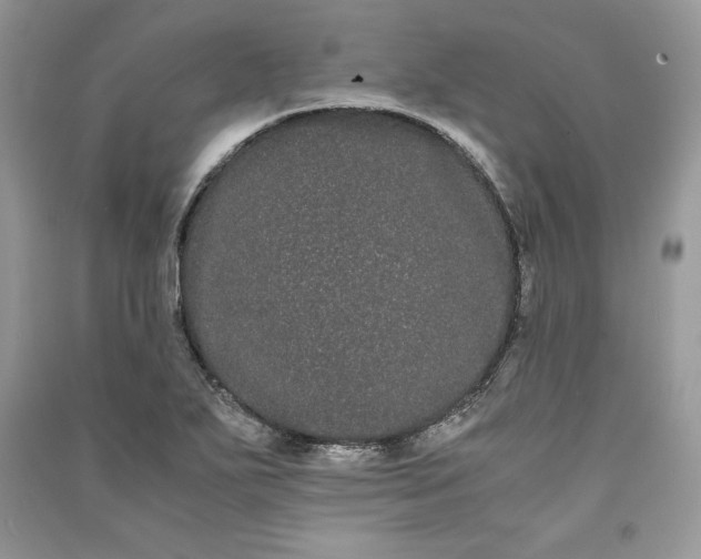 X0000090861271200708101212