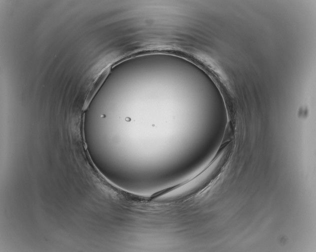 X0000090861273200708101212