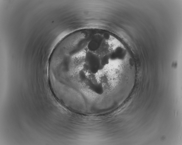 X0000090861275200708101212