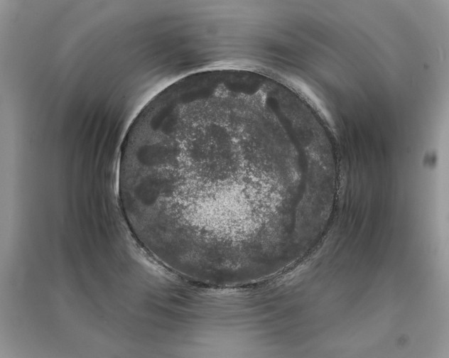 X0000090861276200708101212