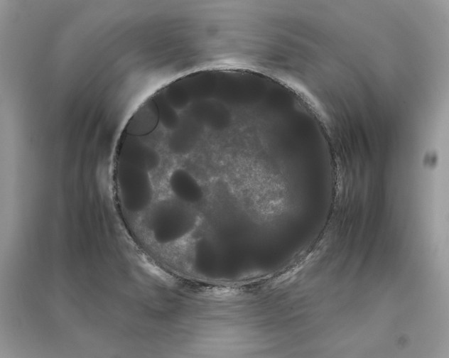 X0000090861278200708101212