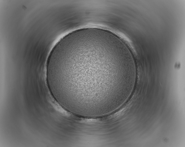 X0000090861280200708101212