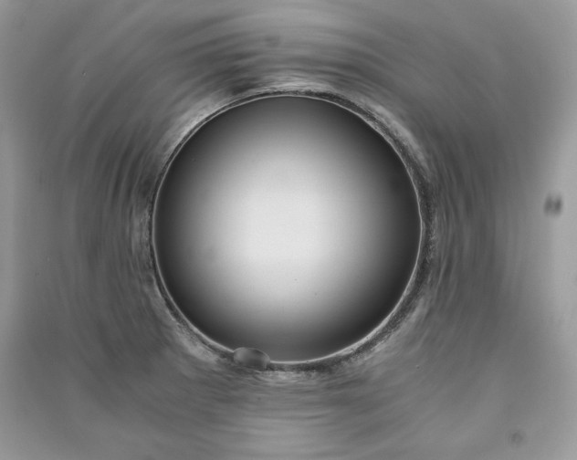 X0000090861281200708101212