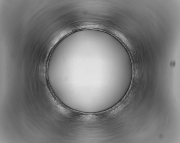 X0000090861282200708101212