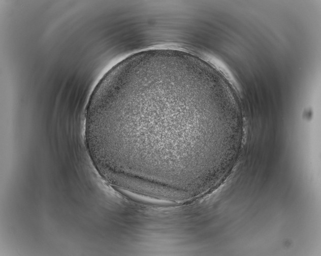 X0000090861284200708101211