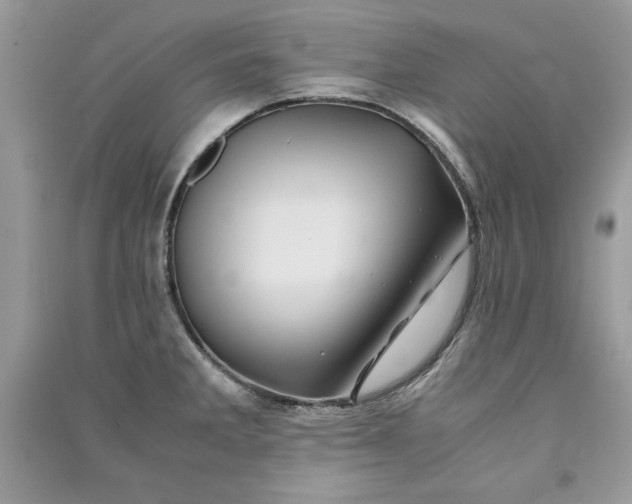 X0000090861285200708101211