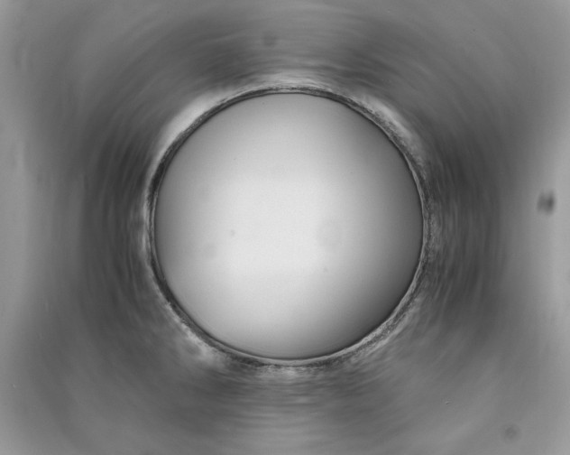 X0000090861286200708101211