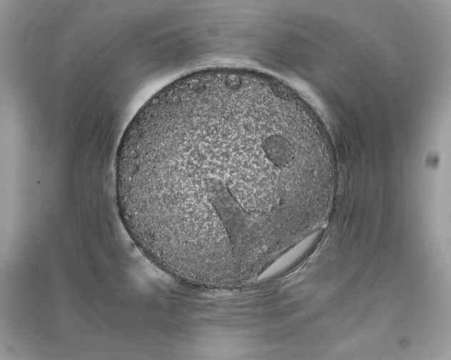 X0000090861287200708101211