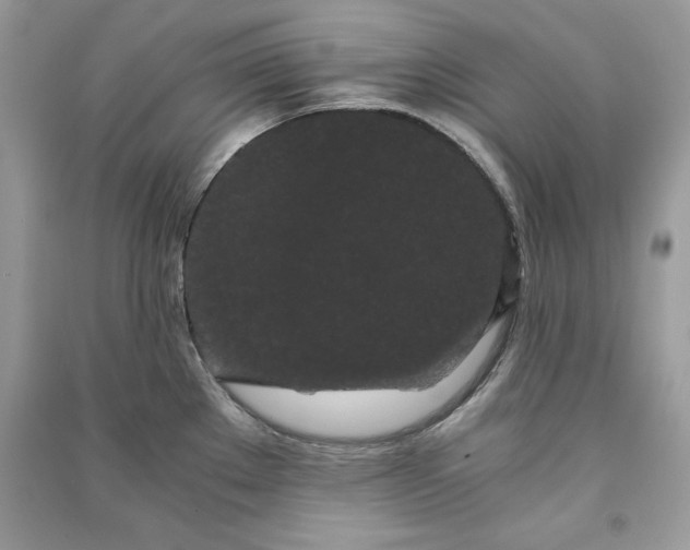 X0000090861289200708101211